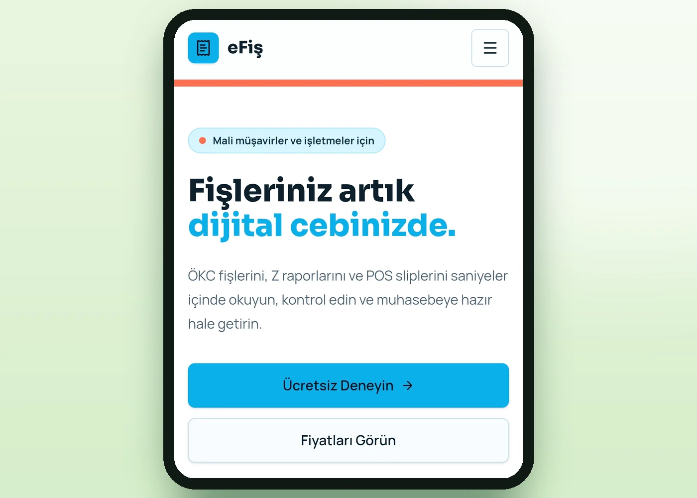 eFiş uygulamasının ekran görüntüsü
